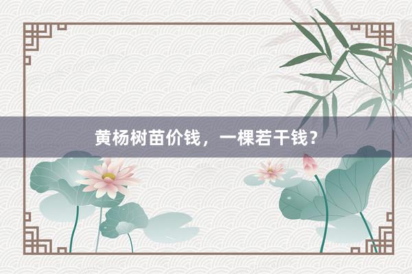 黄杨树苗价钱，一棵若干钱？